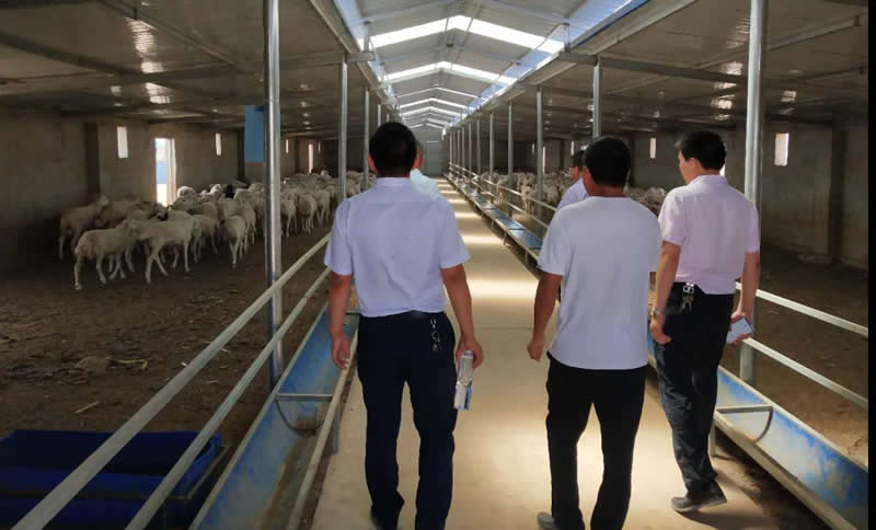 甘肃金控武威担保公司与农业银行古浪县支行联合开展项目保后检查