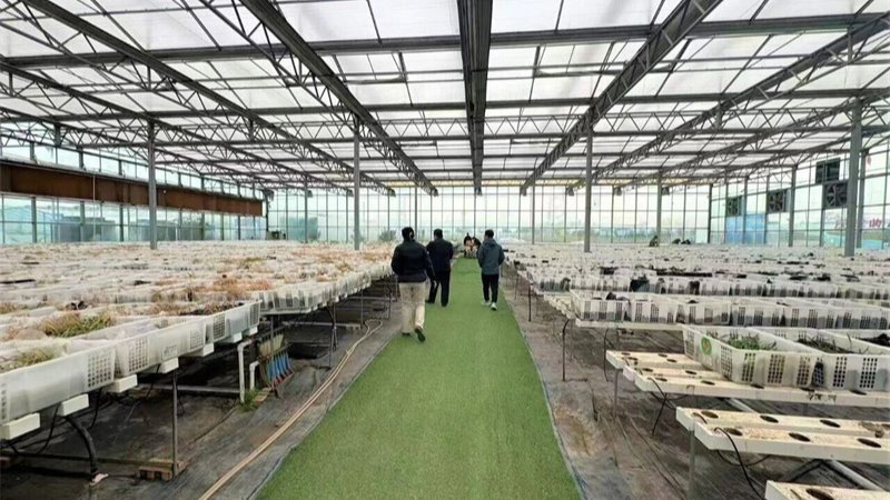 媒体关注 | 民间投资专项担保政策在甘肃进入实质推进阶段